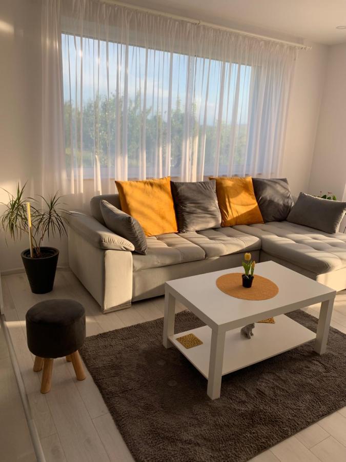 Viktoria House Villa Odorheiu Secuiesc Luaran gambar