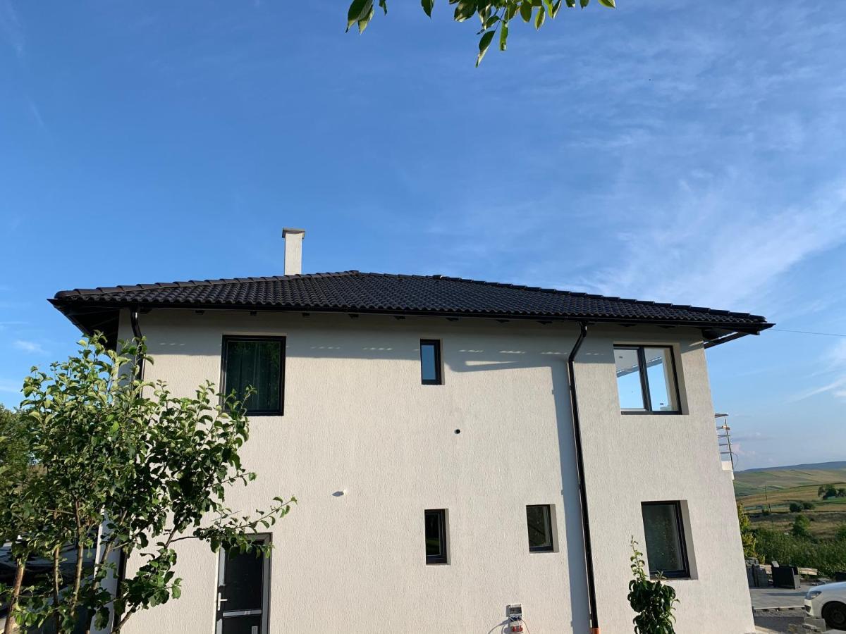 Viktoria House Villa Odorheiu Secuiesc Luaran gambar