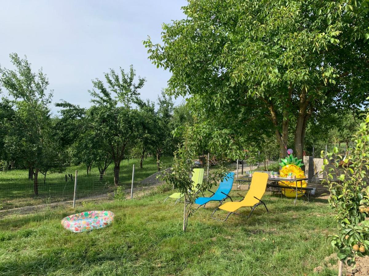 Viktoria House Villa Odorheiu Secuiesc Luaran gambar
