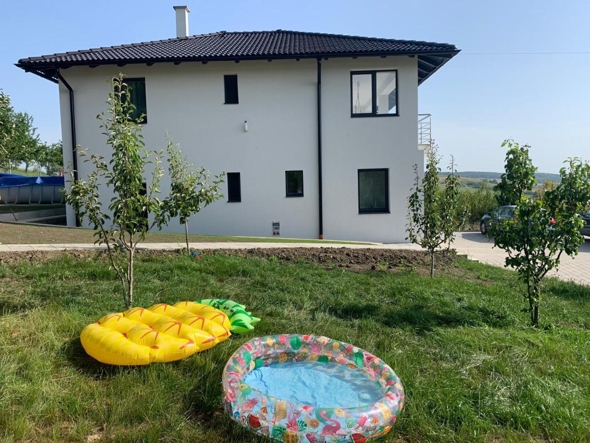 Viktoria House Villa Odorheiu Secuiesc Luaran gambar