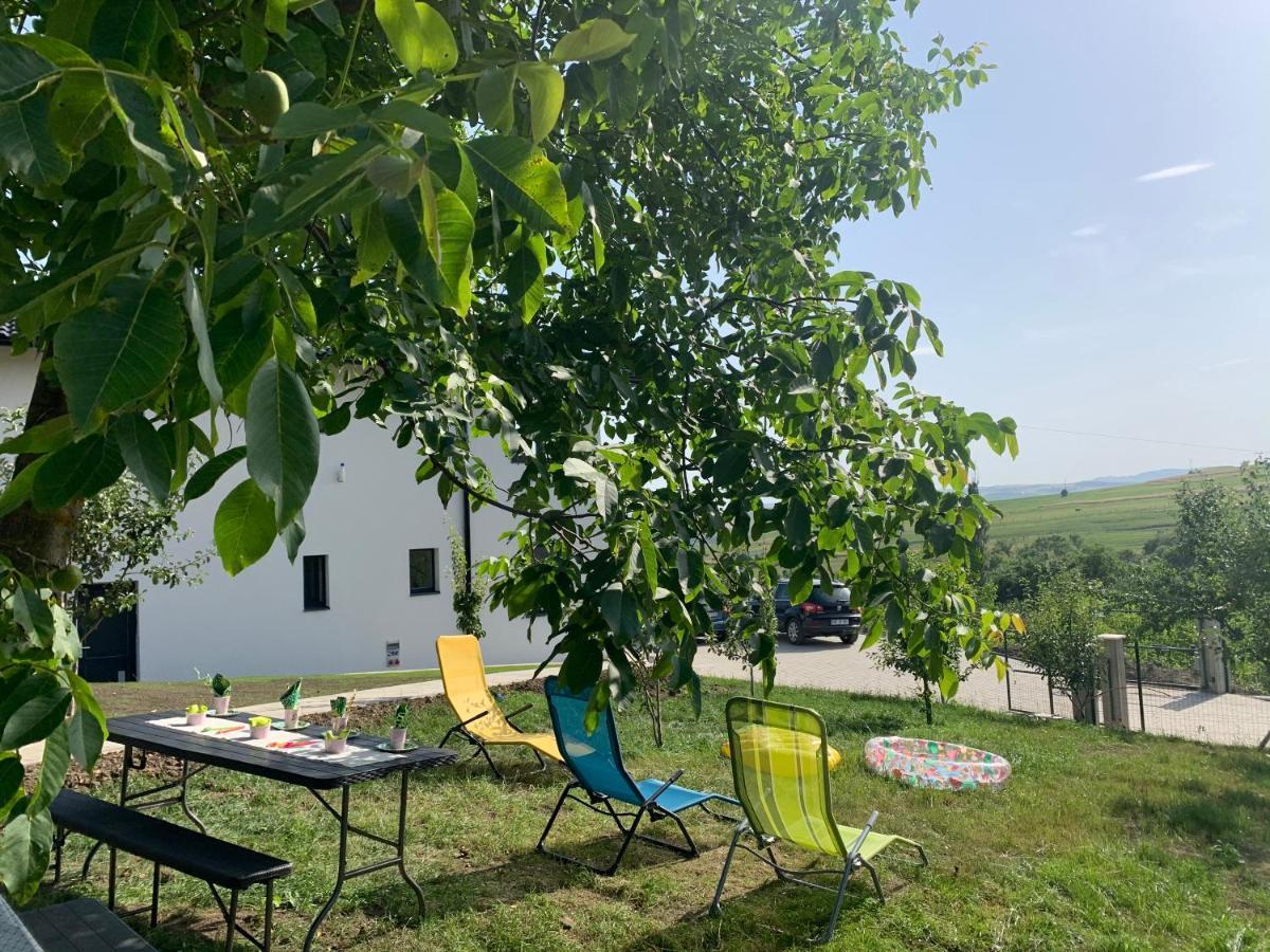 Viktoria House Villa Odorheiu Secuiesc Luaran gambar