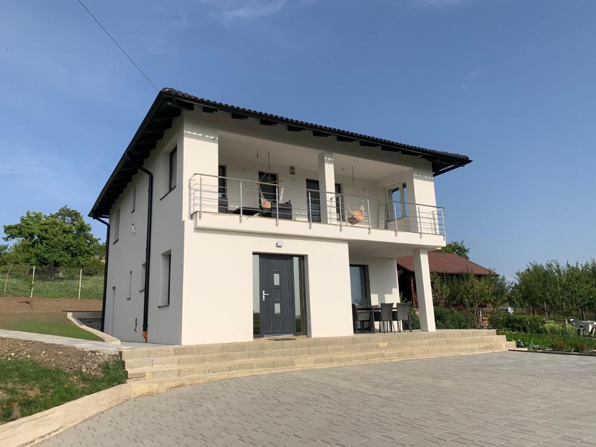 Viktoria House Villa Odorheiu Secuiesc Luaran gambar