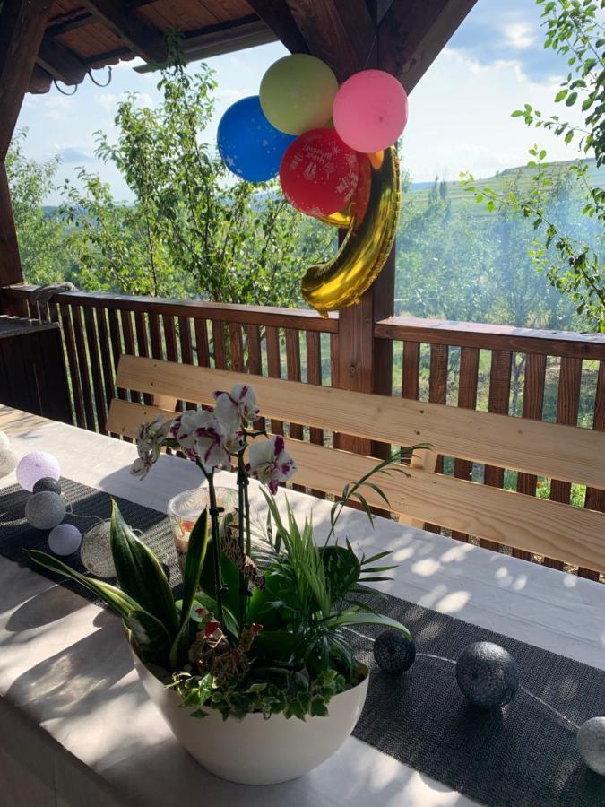 Viktoria House Villa Odorheiu Secuiesc Luaran gambar