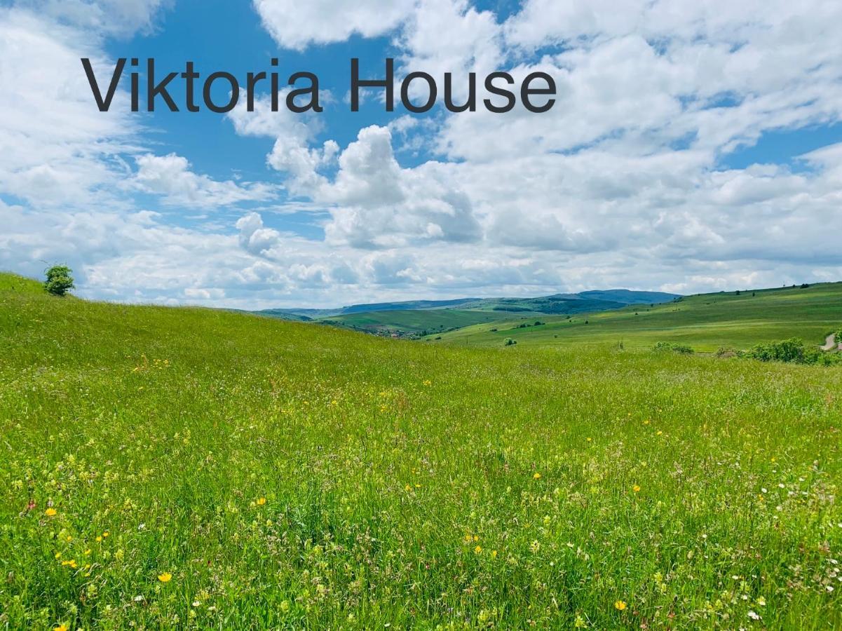 Viktoria House Villa Odorheiu Secuiesc Luaran gambar