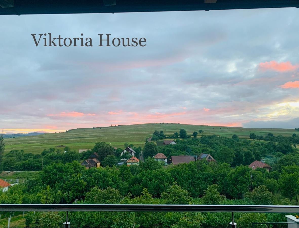 Viktoria House Villa Odorheiu Secuiesc Luaran gambar