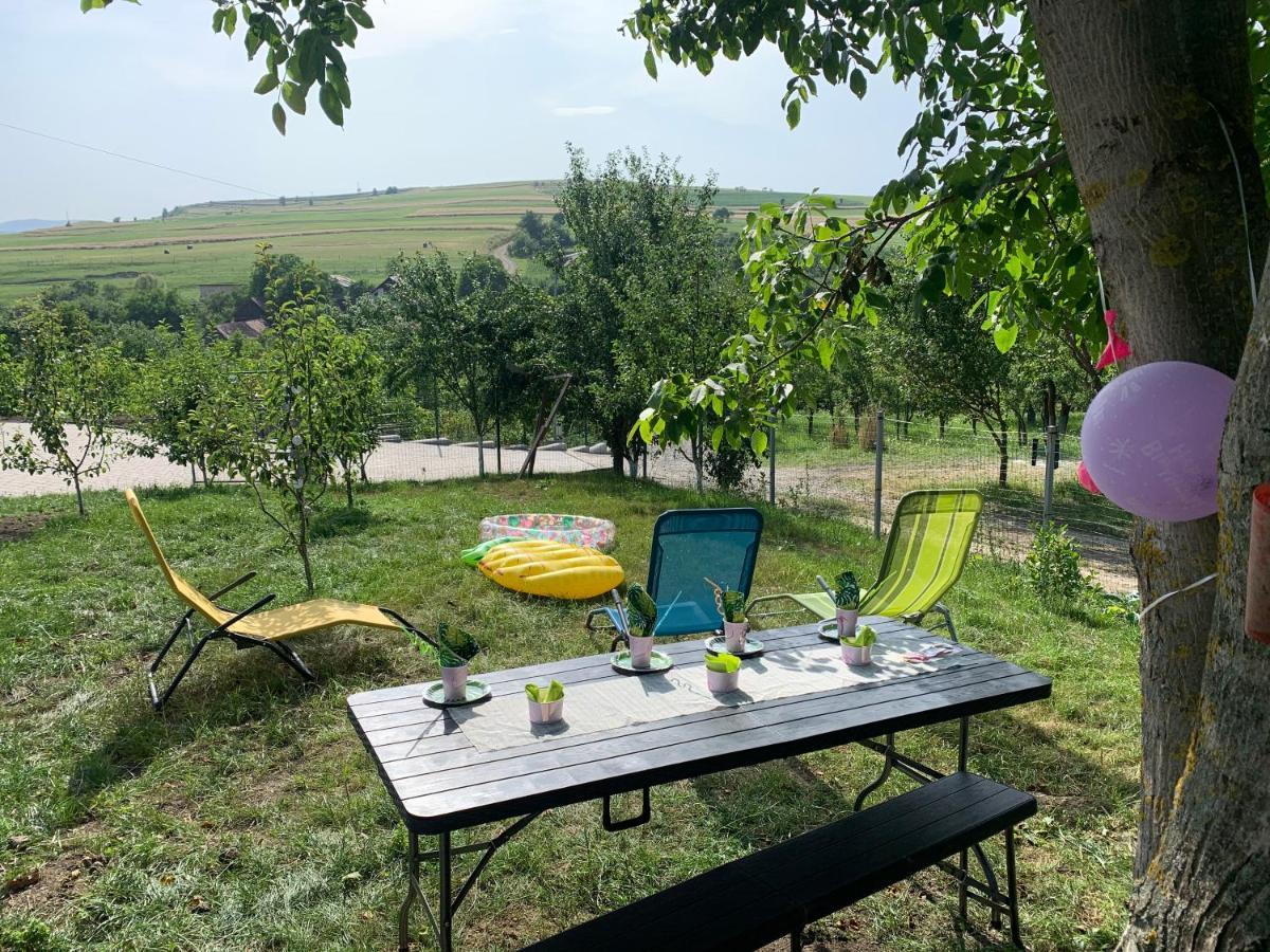 Viktoria House Villa Odorheiu Secuiesc Luaran gambar