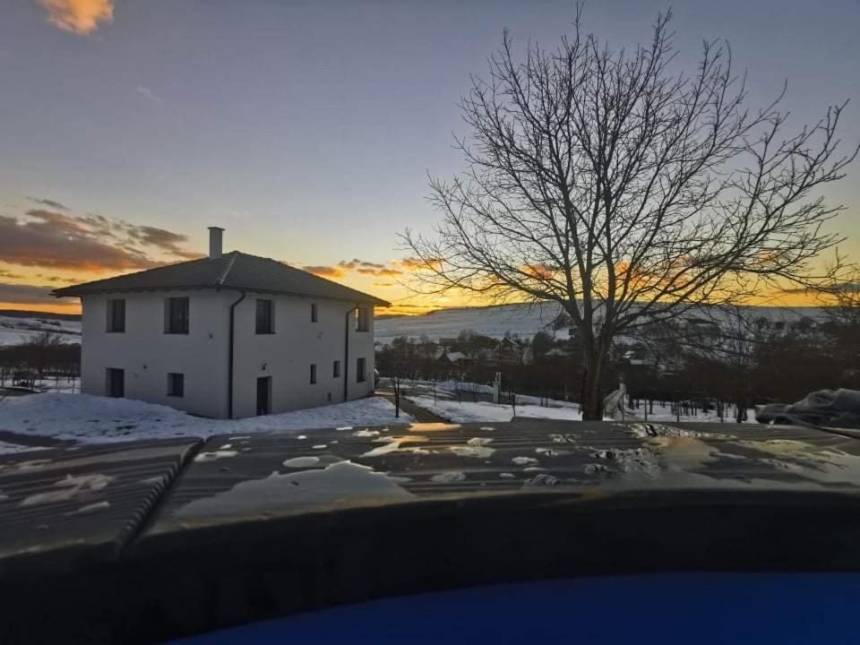 Viktoria House Villa Odorheiu Secuiesc Luaran gambar