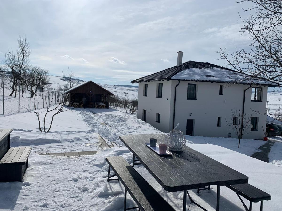 Viktoria House Villa Odorheiu Secuiesc Luaran gambar