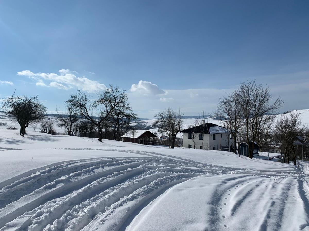 Viktoria House Villa Odorheiu Secuiesc Luaran gambar