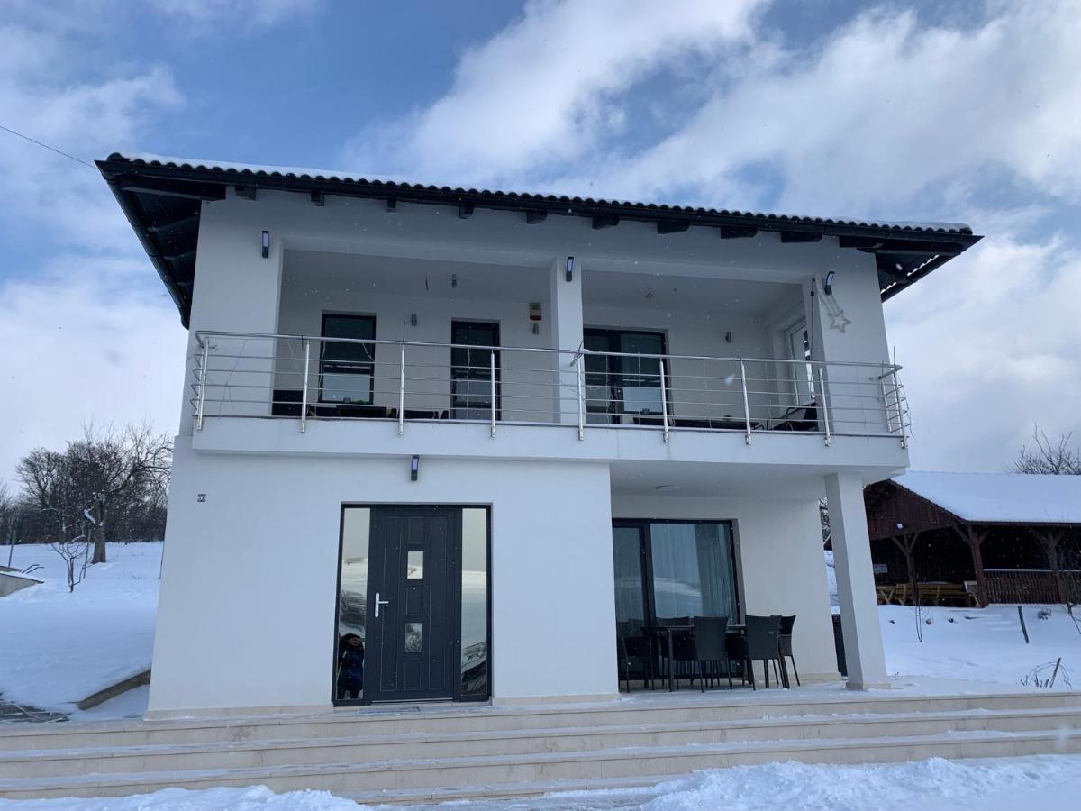 Viktoria House Villa Odorheiu Secuiesc Luaran gambar