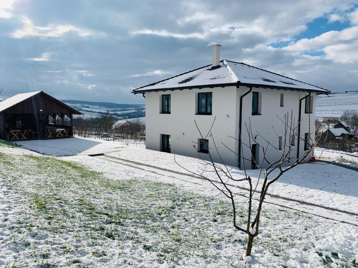 Viktoria House Villa Odorheiu Secuiesc Luaran gambar