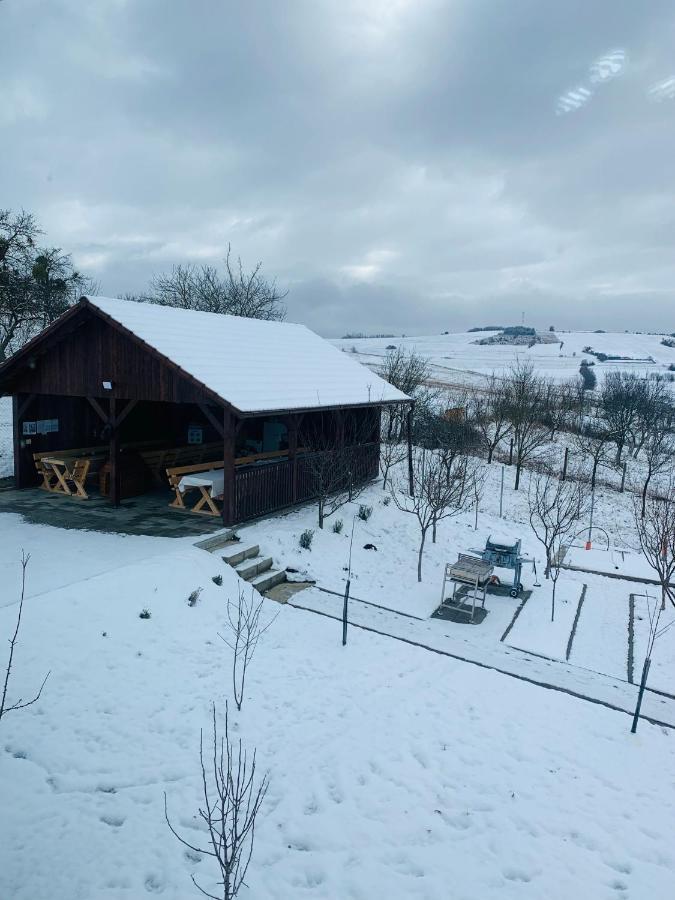 Viktoria House Villa Odorheiu Secuiesc Luaran gambar